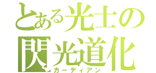 とある光士の閃光道化（ガーディアン）