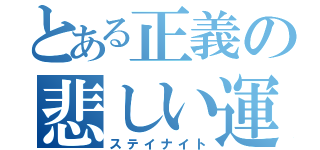 とある正義の悲しい運命（ステイナイト）