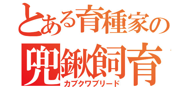 とある育種家の兜鍬飼育（カブクワブリード）