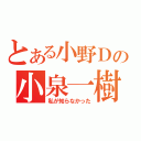 とある小野Ｄの小泉一樹（私が知らなかった）