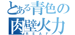 とある青色の肉壁火力（ＲＥＡＦ）