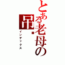 とある老母の吊你（インデックス）