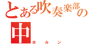 とある吹奏楽部の中（ホルン）