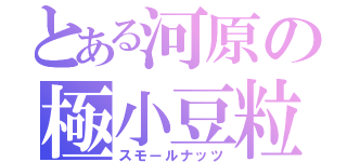 とある河原の極小豆粒（スモールナッツ）