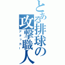 とある排球の攻撃職人（アタッカー）