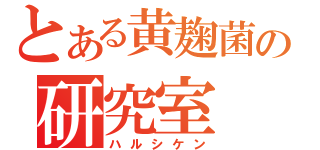 とある黄麹菌の研究室（ハルシケン）