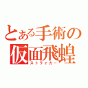 とある手術の仮面飛蝗（ストライカー）