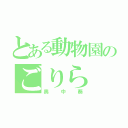 とある動物園のごりら（奥中葵）