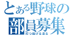 とある野球の部員募集（打つ投げる走る）