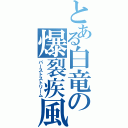 とある白竜の爆裂疾風弾（バーストストリーム）