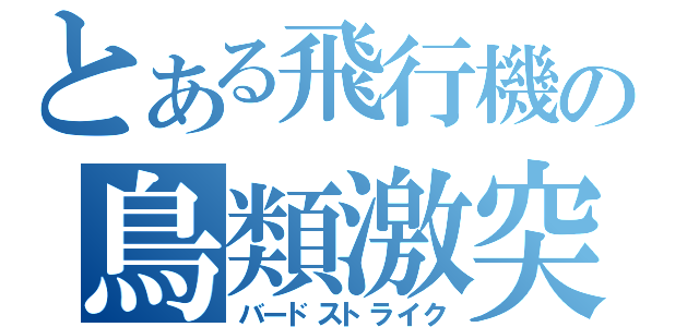 とある飛行機の鳥類激突（バードストライク）