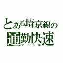 とある埼京線の通勤快速電車（２０５系）