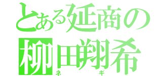 とある延商の柳田翔希（ネギ）