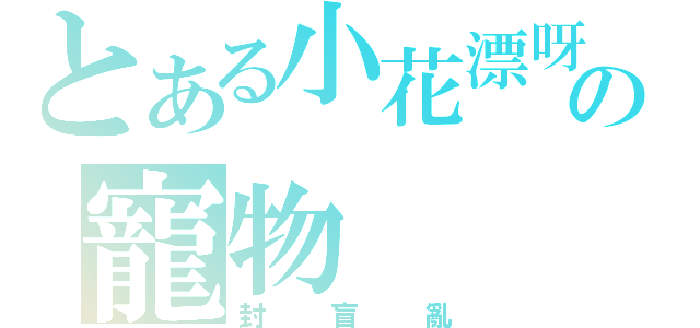 とある小花漂呀漂の寵物（封盲亂）