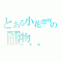 とある小花漂呀漂の寵物（封盲亂）