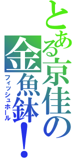 とある京佳の金魚鉢！（フィッシュホール）