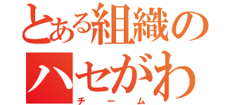 とある組織のハセがわ（チーム）