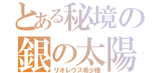 とある秘境の銀の太陽（リオレウス希少種）