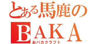 とある馬鹿のＢＡＫＡｃｒａｆｔ（おバカクラフト）