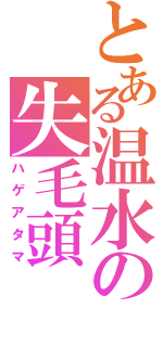 とある温水の失毛頭（ハゲアタマ）