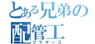 とある兄弟の配管工（ブラザーズ）