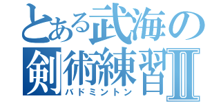 とある武海の剣術練習Ⅱ（バドミントン）