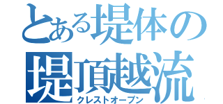 とある堤体の堤頂越流（クレストオープン）