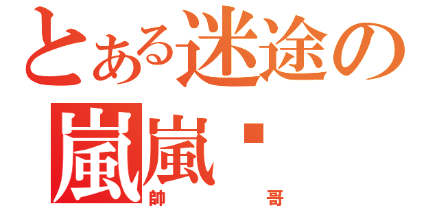 とある迷途の嵐嵐璐（帥哥）