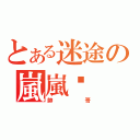 とある迷途の嵐嵐璐（帥哥）