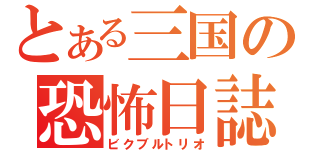 とある三国の恐怖日誌（ビクブルトリオ）