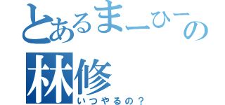 とあるまーひー族の林修（いつやるの？）