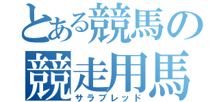 とある競馬の競走用馬（サラブレッド）