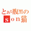 とある腹黑のｓｏｎ猫（）