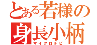 とある若様の身長小柄（マイクロチビ）