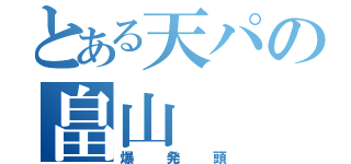 とある天パの畠山（爆発頭）
