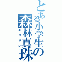 とある小学生の森林真珠（モリリン）