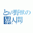 とある野獣の暴人間（ゴリラ）