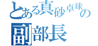 とある真砂卓球部の副部長（）