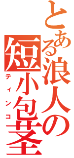 とある浪人の短小包茎砲（ティンコ）