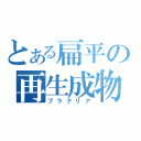 とある扁平の再生成物（プラナリア）