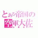 とある帝国の空軍大佐（白薔薇）