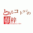 とあるコトラジャの朝梓（なんのこっちゃ）