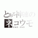 とある神速のネコウモリ（ナルガ・クルガ）