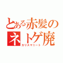 とある赤髪のネトゲ廃人（カリスマニート）