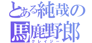 とある純哉の馬鹿野郎（クレイジー）