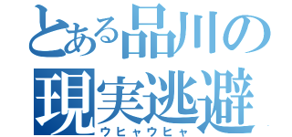 とある品川の現実逃避（ウヒャウヒャ）