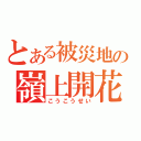 とある被災地の嶺上開花 （こうこうせい）