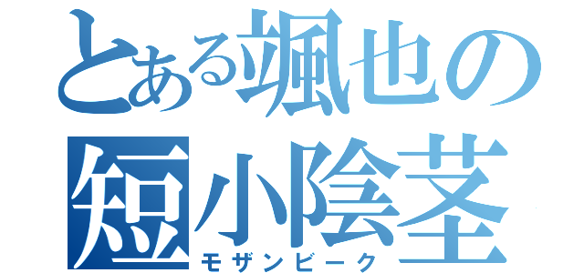 とある颯也の短小陰茎（モザンビーク）