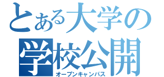 とある大学の学校公開（オープンキャンパス）