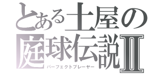 とある土屋の庭球伝説Ⅱ（パーフェクトプレーヤー）